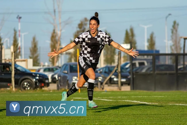 leyu乐鱼地址发展历程